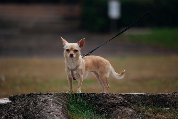 Stratégies efficaces pour prévenir l'alcoolisme chez les jeunes adolescents